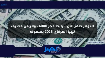 الدولار جاهز الآن.. رابط حجز 4000 دولار من مصرف ليبيا المركزي 2025 بسهولة